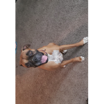 Bella loves all