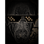 RAPH YT GROOP