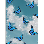 ButterflysGroups