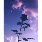 Join here if your beautiful