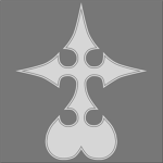 organization IIX 13