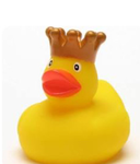 The duck knights