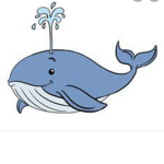 Whales United again