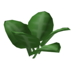 vegetation