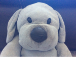 The blue bear beast OFFICAL roblox group