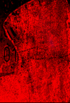coolbruvsngl