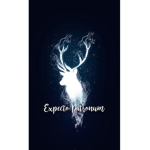 The Patronus Club