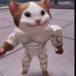 POPCAT GROUNDS[PVP]