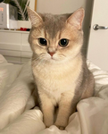 PET!!!