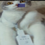 Extreme Minigames 10.0! PATCHES