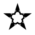 20LL