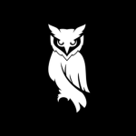 Noctua Studios