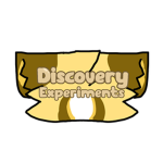 Discovery Experiment