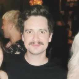 pov: brendon urie