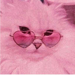 👓💕.