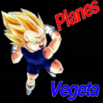 Owners Staff Vegeta