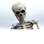 the skeletons warriors