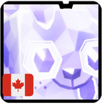 black doge group