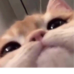 ÙŃDĒRTĀŁĒ FÃN GROUP