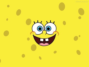 [FREE ADMIN]