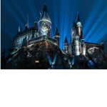 HARRY POTTER FAN CLUB?!