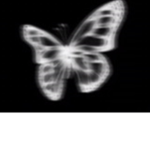 Butterfly_girl_squad