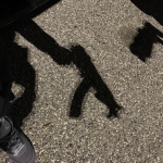 Bullets 4 Everyone home