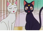 Kittyx