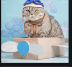 Air regiment cat