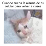 pa mis amigos q necesitan robux cuando recarge mas