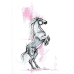 The luck horse shoe