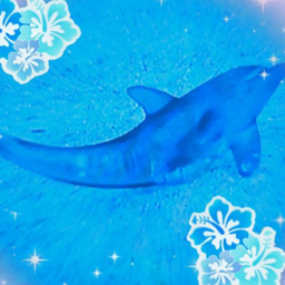🌊 🐬🐋