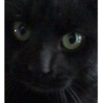 Panqueques :3
