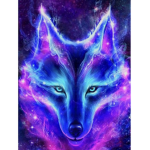 Wild_ galaxy’s