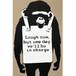 The Monkeys1