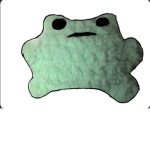 these frogs are very cool
