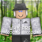 why are raccoon raccoons?