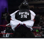 CG’s WWE gorillas