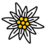 The Frankish State