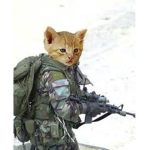 Anlmal Army