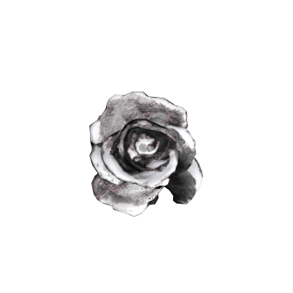 雪玫瑰 black gothic snowy rose hair piece ♡ Roblox item