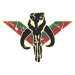 The Mandalorion Coalition