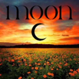 Moon's clothes shop