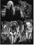 BLOOD WOLVES