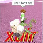 xuir
