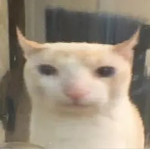 (Da Hood Barbies)