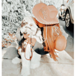 •Abi’s store•