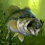 BIGFISH
