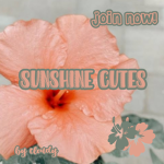 Sunshine cuties!
