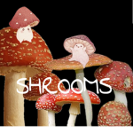 ~mush of rooms~